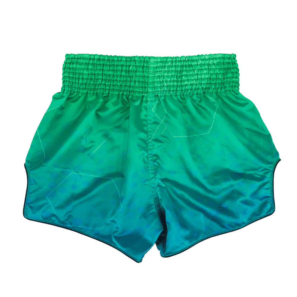 Fairtex BS1953 Muay Thai Shorts Quantum - Image 2